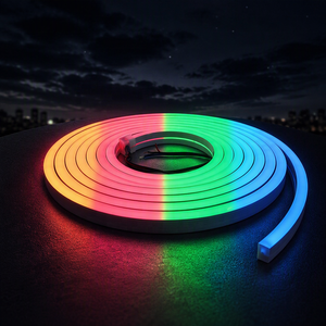 Bande LED néon flexible SMD5050 RGB 4/5/6mm 12V DMX, SMD2835 3014, étanche IP67, pour entrepôt et extérieur - Product Image 2