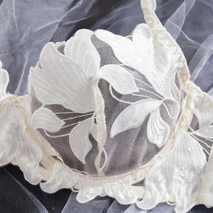 Fabrieksuitverkoop Ondergoed Sexy Mode Kwaliteit Wit Kant Transparant BH Sexy Set Dames Panty Set - Product Image 2