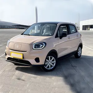 低速LEAPMOTOR4輪大人用電気自動車T03新しい小型車EV