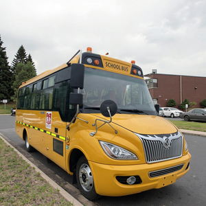 Dongfeng 4x2 Diesel Euro 3 Emisión 41 Asientos Nuevo Autobús Escolar para Niños Transporte - Product Image 1