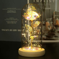 Décoration DIY Cloche Affichage Dôme en Verre avec Cadeau en Bois Verre Europe Hémisphère Clair Base Dôme Écologique