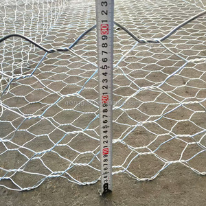 QG <span class=keywords><strong>2m</strong></span> X1m X1m <span class=keywords><strong>Gabion</strong></span> Boîte Panier Clôture Pierre Galvanisé <span class=keywords><strong>Gabion</strong></span> Hexagonal - Product Image 3