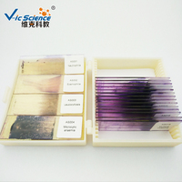 Blood Prepared Slide Set Blood Microscope Slide Hematology Prepared Hematology Prepared Slides