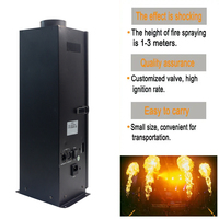 Indoor Outdoor DMX Spray Stage Fire Machine Flame Thrower Jet Projector Machine pour Concert Disco dj