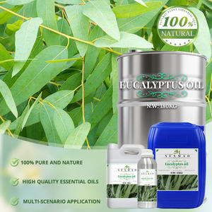 Huile essentielle d'eucalyptus en vrac Globulus 80% Prix d'huile d'eucalyptus pour diffuseur d'aromathérapie Fabricant d'huile essentielle - Product Image 4