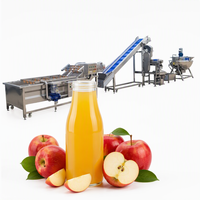 Industriële automatische productielijn voor vers appel-sap, voor de verwerking van appel puree en appel-sap