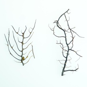 Pot scellé rond en verre transparent avec télécommande et couvercles en liège microlandscape <span class=keywords><strong>boule</strong></span> d'algues de mer mousse bouteille écologique pour la décoration de la maison - Product Image 5