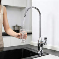 Robinet Purificateur d'Eau Moderne en Acier Inoxydable avec Filtre à Circulation Unidirectionnelle pour Cuisine Domestique – Robinet d'Eau RO