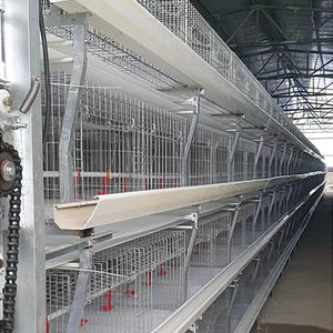Cage pour poulets de chair à batterie automatisée de 5 à 6 semaines, nouvelle maison de couche de condition pour l'utilisation de la ferme de lapins et d'oiseaux pour les fermes du Kenya - Product Image 5