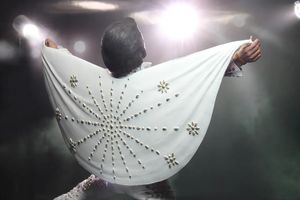 NECA 18085 Figurina Commemorativa in PVC di Elvis Presley, Modello da Collezione Rock Star, <span class=keywords><strong>15</strong></span> <span class=keywords><strong>CM</strong></span> - Product Image 6