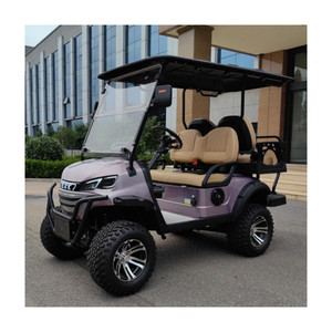 Voiturette de golf électrique 2 + 2 4 places avec service ODM certifié CE BAK 48V 70-90km Range Street Legal - Product Image 2