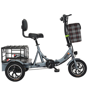 Triciclo Elettrico <span class=keywords><strong>Cargo</strong></span> 350W 48V per Adulti, Bici <span class=keywords><strong>Elettrica</strong></span> a 3 Ruote, Prezzo all'Ingrosso - Product Image 1