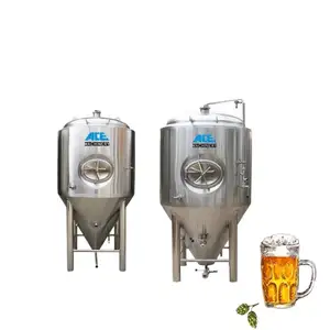 Ace Customized 10Hl 2000L 30Bbl 4000L 10T Fermenter Equipment Beer Brewing Tank Supplier