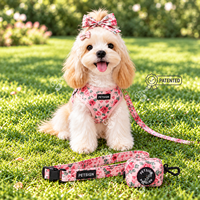 Ensemble Harnais de Noël pour Chien Petsign – Collier Réglable Anti-Traction, Laisse, Bandana, Nœud Papillon, Distributeur de Sacs à Déjections – Vente en Gros Direct Usine