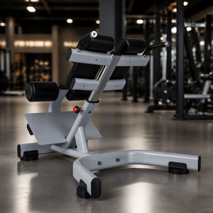 Chaise romaine de qualité professionnelle, banc d'hyperextension, structure stable pour salle de sport et centre de fitness - Product Image 6