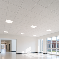 Plaque de plafond en fibre minérale du fabricant chinois, OEM ODM, taille personnalisée, panneau de plafond acoustique en laine minérale pour projets de construction