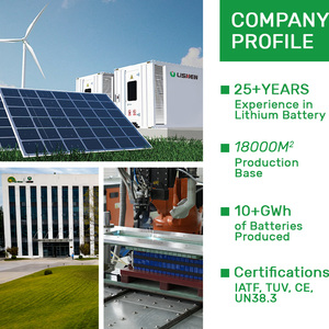 3 2v 200ah Cell 200 Ah Lithium 24v Ready to Ship Products Batteries Ithium 12v 100ah 160ah Prismatic Lifepo4 96v Battery - Product Image 5