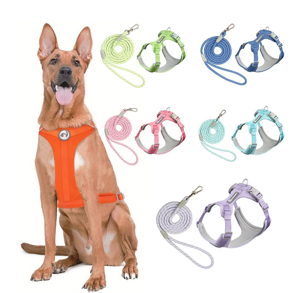 Pettorine e guinzaglio per animali domestici per gilet per cani OEM Custom Fashion Macaron Set di imbracature per cani di colore chiaro con imbracatura per collare ID nuovi arrivi