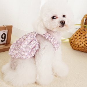 Vestido de verano con estampado Floral de calabaza y perro, diseño de encaje, medio círculo, novedad de <span class=keywords><strong>2022</strong></span> - Product Image 1