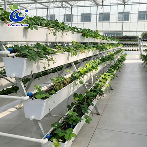 High Yield Greenhouse Vertical Hydroponic System A-Frame Strawberry Gutter System PVC <strong>Planting</strong> <strong>Trough</strong> for <strong>Large</strong> Scale Farm - Product Image 3