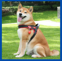 Harnais anti-traction en nylon AnYue pour chiens, laisse et sangle de poitrine pour Shiba Inu, Bichon, chiots, lavable à la main, utilisation extérieure, sans fermeture