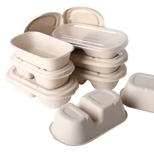 Compostable Lúa Mì Rơm Sợi Bột Giấy Dùng Một Lần Container Thực Phẩm