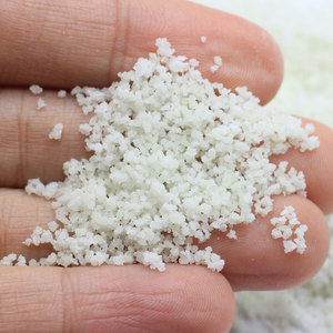 10 g/bolsa <span class=keywords><strong>de</strong></span> polvo <span class=keywords><strong>de</strong></span> pigmento <span class=keywords><strong>de</strong></span> uñas <span class=keywords><strong>de</strong></span> neón, polvo luminoso con purpurina colorida <span class=keywords><strong>para</strong></span> abalorios <span class=keywords><strong>de</strong></span> limo, esmalte <span class=keywords><strong>de</strong></span> uñas, copos <span class=keywords><strong>de</strong></span> decoración <span class=keywords><strong>de</strong></span> polvo - Product Image 5