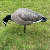 Leurre d'oie pliable en EVA léger, imperméable et réaliste en 3D pour la chasse aux oiseaux
