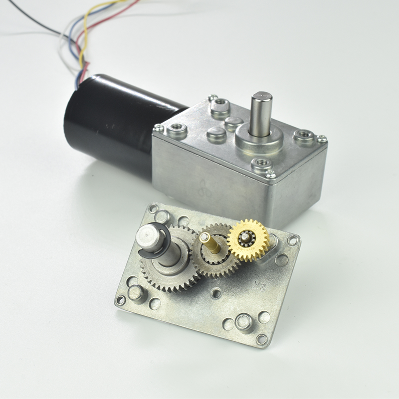 58403650 12V 80 RPM Brushless DC Worm Gear Reduction Motor with