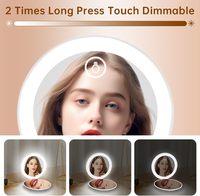 Travel Compact 10X Magnifying LED Handheld Foldable Single-Sided Makeup Mirror for Women
