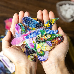 40 unids/pack DIY serie de plumas de fantasí<span class=keywords><strong>a</strong></span> diario de mascotas Pegatinas transparentes decorativas acabado de superficie de estampado dorado para Base de Collage - Product Image 4