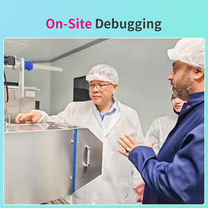 Günstiger Preis My8b Mechanischer Trichter Hochleistungs-Elektrische Pillen- und Tablettenzählmaschine Kapselzähl- und Abfüllmaschine - Product Image 5