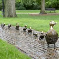 Statue de canard en bronze de taille réelle pour l'extérieur Sculpture animalière pour le jardin et la décoration intérieure