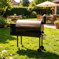 Barbecue à granulés de bois d'extérieur en gros avec grande capacité de réservoir, portable, garantie 1 an pour le camping en plein air