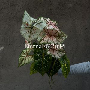 Feuilles artificielles Caiyuyehaiyuye vertes à motifs blancs imprimées en 3D pour la décoration de la maison et les accessoires de mariage - Product Image 2