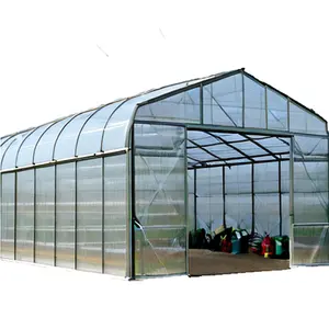 Weather-Resistant Single-Span Greenhouses Protect and Grow Your Crops