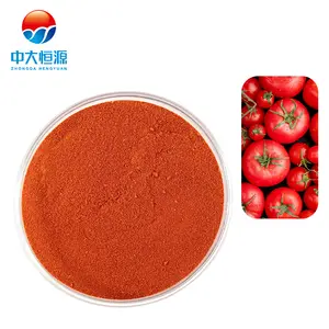Approvisionnement direct d'usine poudre de jus de tomate séchée par pulvérisation poudre de saveur de tomate