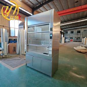 Cappa aspirante personalizzabile in acciaio inox a prova di esplosione illuminazione a LED PP lavello emergenza occhiale fascia Bio aria per la pulizia delle attrezzature - Product Image 3