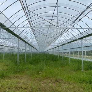 Serres de fournisseur chinois 2025, structure en acier galvanisé, agriculture, utilisées pour les 4 saisons - Product Image 5