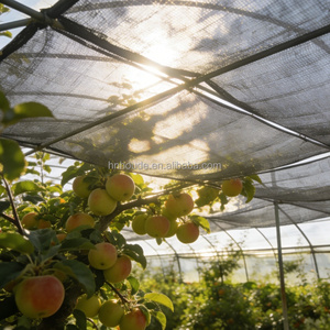 <span class=keywords><strong>Malla</strong></span> de Sombra Gris para Agricultura, <span class=keywords><strong>Malla</strong></span> de Protección UV para Granjas, Invernaderos y Jardines - Product Image 1