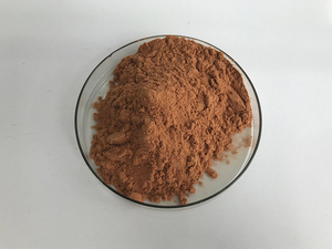 Nhà Máy Trung Quốc Cung Cấp Giá Bột Ca Cao Cạnh Tranh - Product Image 2