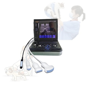 Ultrasonido Vet <span class=keywords><strong>Ultrasound</strong></span>, perangkat Ultra suara 15 "layar warna Usg portabel 3d - Product Image 1