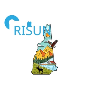 Imán, Broche, Pin <span class=keywords><strong>de</strong></span> Solapa y Distintivo Personalizado <span class=keywords><strong>de</strong></span> Esmalte con Mapa <span class=keywords><strong>de</strong></span> la Casa del Congreso del Estado <span class=keywords><strong>de</strong></span> New Hampshire, EE. UU., Souvenir <span class=keywords><strong>de</strong></span> Viaje, Regalo, Venta al por Mayor - Product Image 5