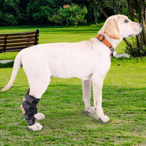 Dog <b>Knee</b> <b>Brace</b> Black Two Piece Set Wear Resistant Joint <b>Support</b> Recovery Pet Protective Gear - Product Image 2
