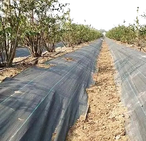 Usine bas prix tissé contrôle des mauvaises herbes tissu plastique paillage papier agriculture ou <span class=keywords><strong>jardin</strong></span> - Product Image 4
