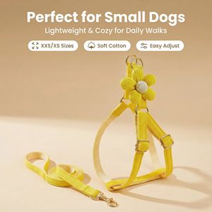 Ensemble harnais et laisse pour chien et chat PUPE, confortable, motif uni, réglable, anti-traction, style luxe/dessin animé, décoré de fleurs, tissu en nylon - Product Image 5