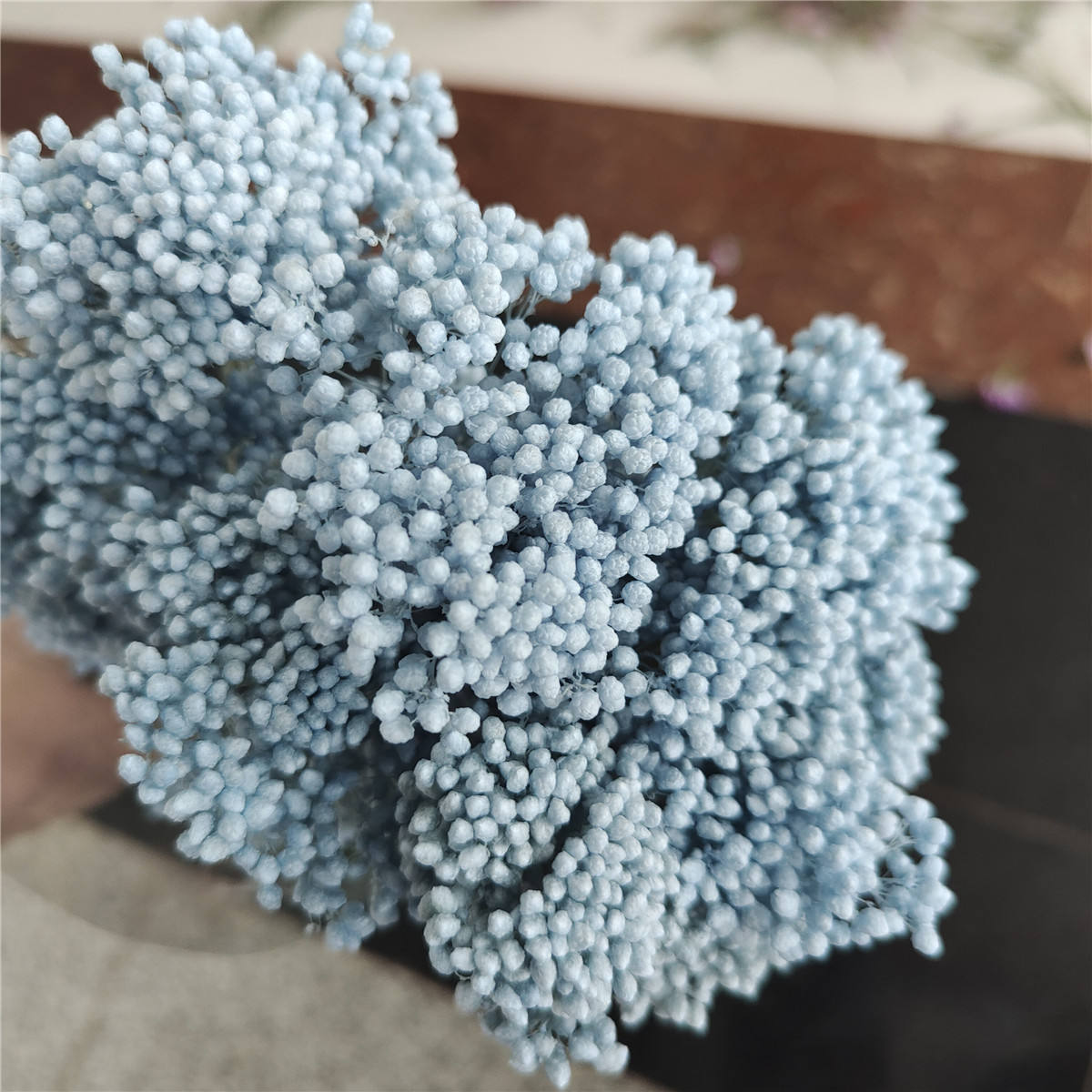 Color-Washed Light Blue