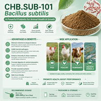 Bacillus Subtilis Qualité Agricole Probiotique Poudre Microbienne Soluble 100/200 Milliards UFC Matière Première Engrais Biologique