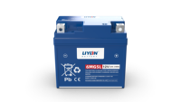 Nouvelle batterie de démarrage de moteur 12V 8.6Ah haute performance, garantie 12 mois, compatible avec les motos CF Moto, les quads, les UTV et les dune buggies
