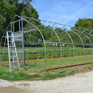 TSX Green House Green Einspaniges Gewächshaus für Gemüse Kosten günstiger 9x30m Gewächshaus rahmen